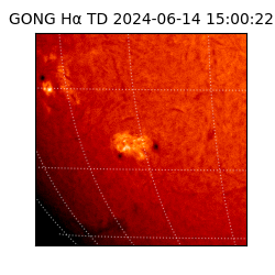 gong - 2024-06-14T15:00:22