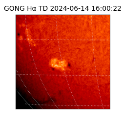 gong - 2024-06-14T16:00:22