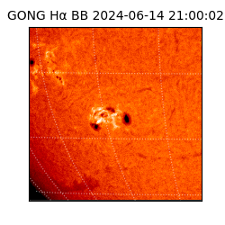 gong - 2024-06-14T21:00:02