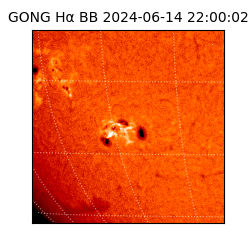 gong - 2024-06-14T22:00:02