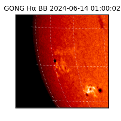 gong - 2024-06-14T01:00:02