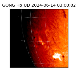 gong - 2024-06-14T03:00:02