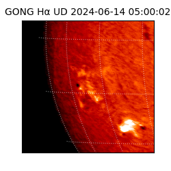 gong - 2024-06-14T05:00:02