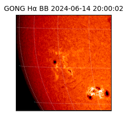 gong - 2024-06-14T20:00:02