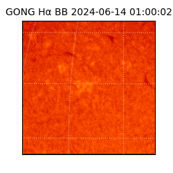 gong - 2024-06-14T01:00:02