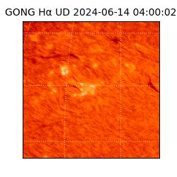 gong - 2024-06-14T04:00:02