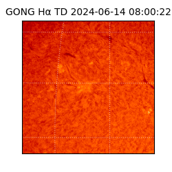gong - 2024-06-14T08:00:22