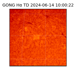 gong - 2024-06-14T10:00:22