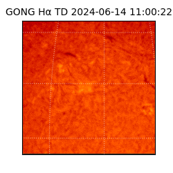 gong - 2024-06-14T11:00:22