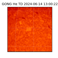 gong - 2024-06-14T13:00:22