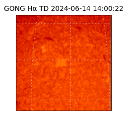 gong - 2024-06-14T14:00:22