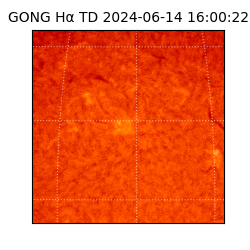 gong - 2024-06-14T16:00:22