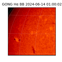 gong - 2024-06-14T01:00:02