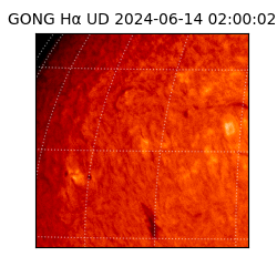 gong - 2024-06-14T02:00:02