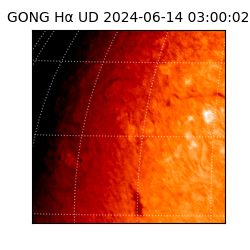 gong - 2024-06-14T03:00:02
