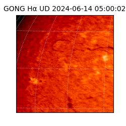 gong - 2024-06-14T05:00:02