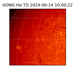 gong - 2024-06-14T10:00:22