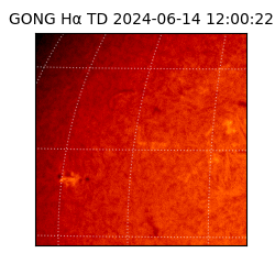 gong - 2024-06-14T12:00:22