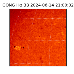 gong - 2024-06-14T21:00:02