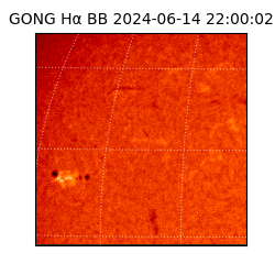 gong - 2024-06-14T22:00:02