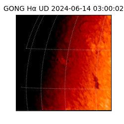 gong - 2024-06-14T03:00:02