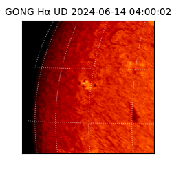 gong - 2024-06-14T04:00:02