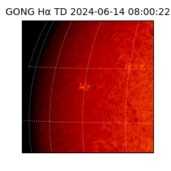 gong - 2024-06-14T08:00:22