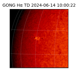 gong - 2024-06-14T10:00:22
