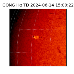 gong - 2024-06-14T15:00:22