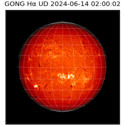 gong - 2024-06-14T02:00:02