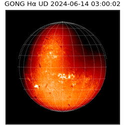 gong - 2024-06-14T03:00:02