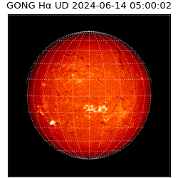 gong - 2024-06-14T05:00:02