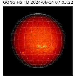 gong - 2024-06-14T07:03:22