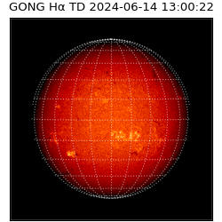 gong - 2024-06-14T13:00:22