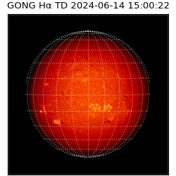 gong - 2024-06-14T15:00:22