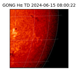 gong - 2024-06-15T08:00:22