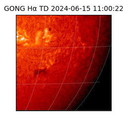 gong - 2024-06-15T11:00:22