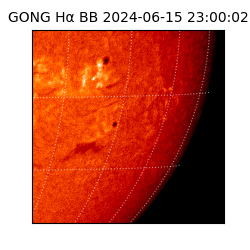 gong - 2024-06-15T23:00:02