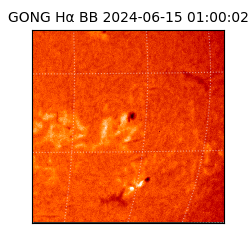 gong - 2024-06-15T01:00:02