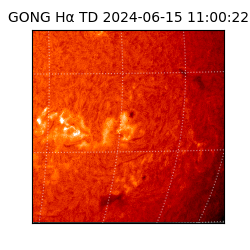 gong - 2024-06-15T11:00:22