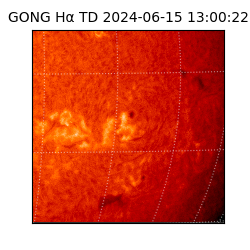 gong - 2024-06-15T13:00:22