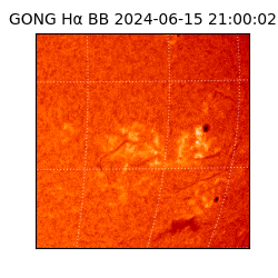 gong - 2024-06-15T21:00:02