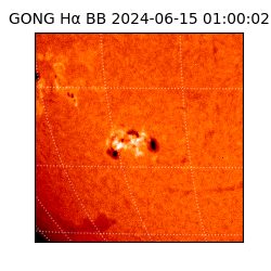 gong - 2024-06-15T01:00:02