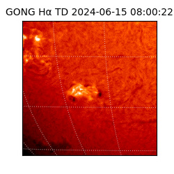 gong - 2024-06-15T08:00:22