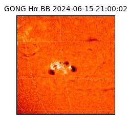 gong - 2024-06-15T21:00:02