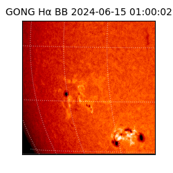 gong - 2024-06-15T01:00:02