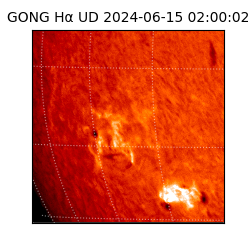 gong - 2024-06-15T02:00:02