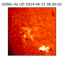 gong - 2024-06-15T06:00:02