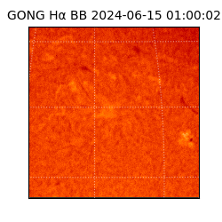 gong - 2024-06-15T01:00:02