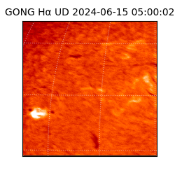 gong - 2024-06-15T05:00:02